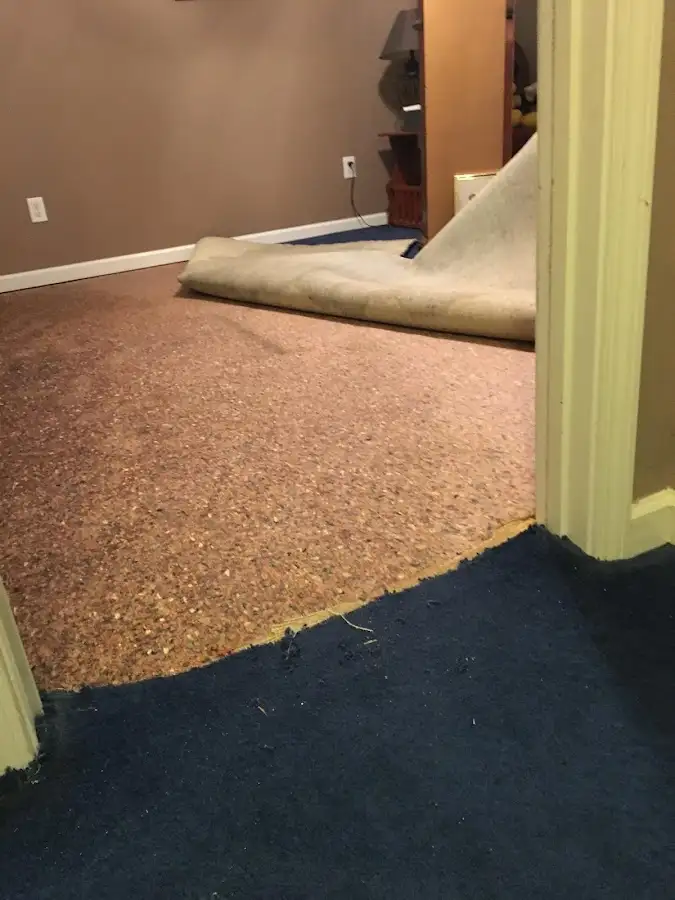 Carpet pad removal revealing water damage during Water Mitigation Services in El Cerrito