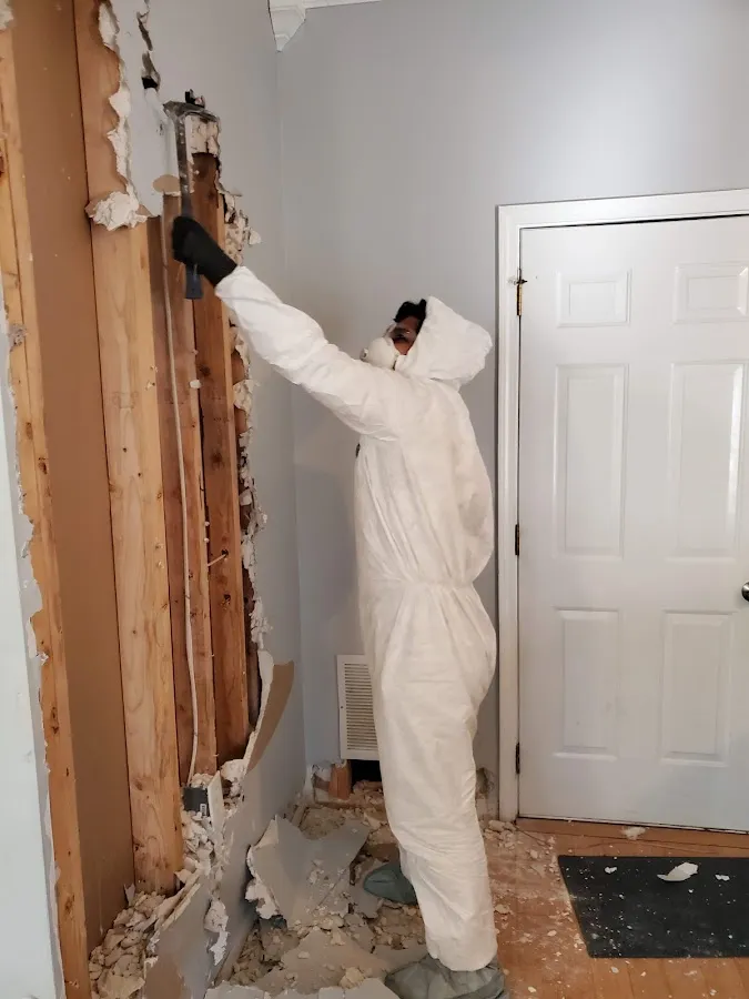 Water Damage Restoration services in El Cerrito, CA